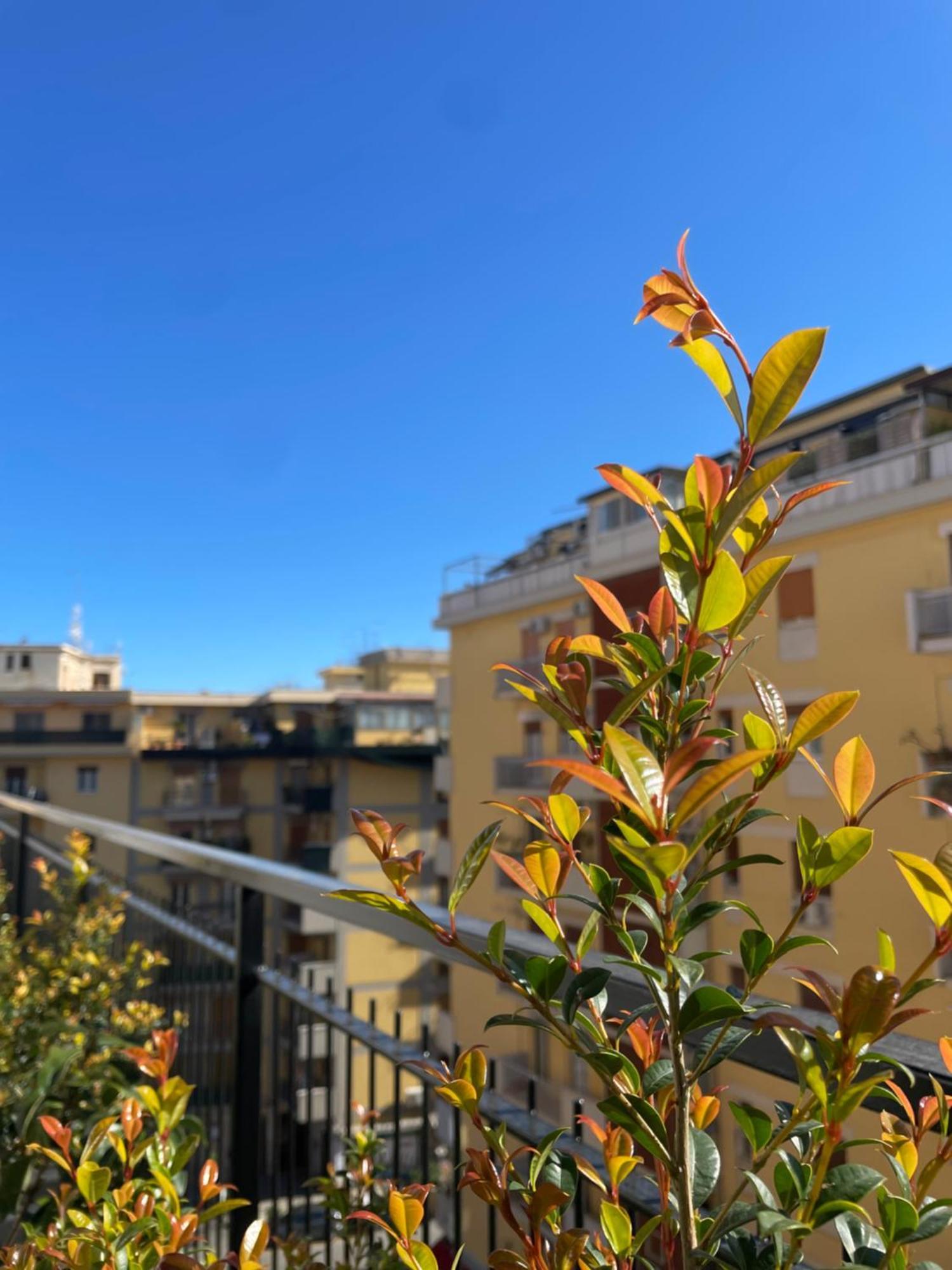 דירות פלרמו Terrazza L Emiro Casa Vacanze מראה חיצוני תמונה